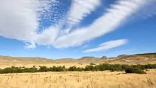 The Neotropical Migratory Bird Act Works