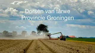 Graan oogsten in Noord Groningen met de Terra Trac  900