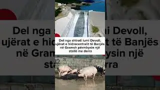 Del nga shtrati lumi Devoll uj&euml;rat e hidrocentralit t&euml; Banj&euml;s n Gramsh p&euml;rmbysin nj&euml; stall&euml; me derra