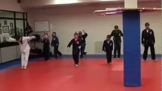 Student Testing at Millennium Martial Arts Academy (Forms)