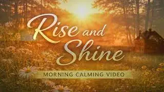 Rise and Shine Enjoy the Moments of Relaxation #motivation #morningcalm #morningroutine #relaxation