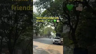 Embrace sustainability 💚 #original #plants #gogreen #trees #planttrees #mumbai #world