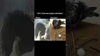 Bro be lazy #bro #memes #lazy #project