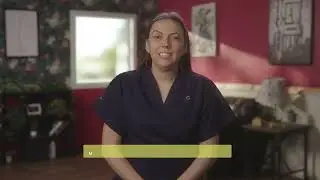 Dental Series Episode 2: 12 months to 2 Years