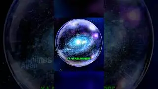 The Shocking Truth About Omni-King!