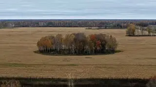 Сибирь с высоты. Там, где человек - гость