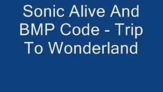 Sonic Alive And Bmp Code - trip to the wonderland