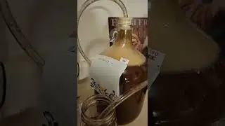 #shorts #live #subscribe #stream #beer #homebrew #gaming #homemade #yeast #hops #barley #malt