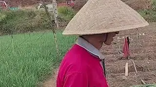 昆明见