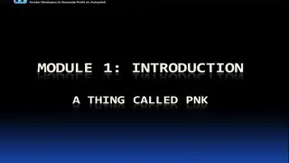 Profit Instruments Module 1v2: A Thing Called PNK