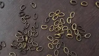 D - Ring Making Machine Testing