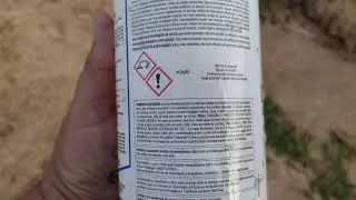 Pimentão Dahara  como eliminar as tranças e lagarta da sua lavoura @marcosbrugneroto
