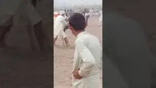 Bull race competition #shorts #jalsa#nature #shookkajahan