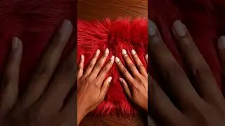 Playing with Fur ASMR Relaxing Video for Stress Relief
