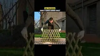 The Smartest Garden Fence Ever!
