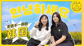 一次看懂！韩国四季最好玩的旅游攻略