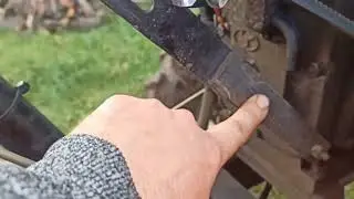 Як побалувати шифеня, оранка,генератор новий  на шифенг під кінець сезону. Шифенг 240.