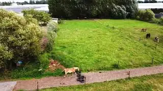 Paddock paradise