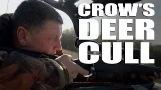 Crow's Deer Cull