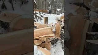 How to Split Wood in Subzero Temps -16! #wood #axe #diy #howto #fun #outdoors #nature #polarisranger