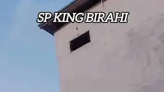 SP KING BIRAHI