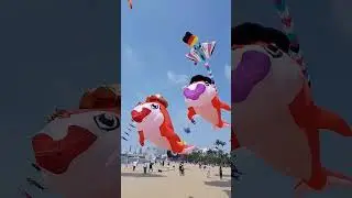 Pattaya Kite Festival #kitefestival #travel#reisen