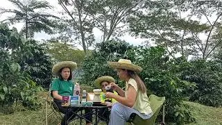 Brewing coffee in the coffee farm