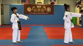 Taeguek 1Jang / Form 1(White Belt to Yellow belt)/18 Movements.