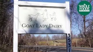 Goat Lady Dairy l Supplier Stories l Whole Foods Market