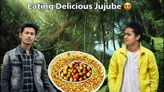 Eating jujube fruit with Salt and Green  chilli  🌶  | Village Vlogs