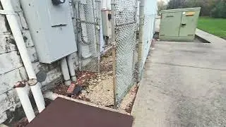 Abandoned 7-Eleven, Commack, NY