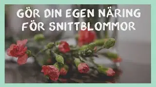 Ge dina snittblommor hemgjord n&auml;ring