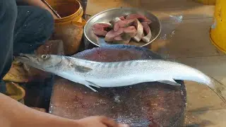 Kun Fish Cutting ASMR | market Style 