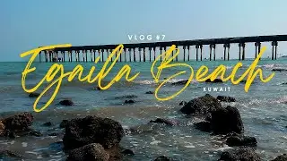 Vlog #7 | Trip To Egaila Beach | Barbecue Party