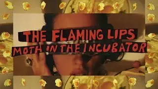Moth In The Incubator (Live in Austin, August '93) - The Flaming Lips
