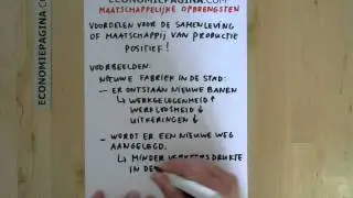 Maatschappelijke opbrengsten (Economiepagina.com)