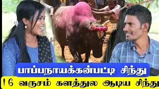பாப்பநாயக்கன்பட்டி சிந்து காளை.. அலங்கநல்லூர்ல சிறந்த மாடா? பாக்க சிந்து ஆட்டத்துல ரோசமான நாட்டுமாடு
