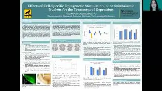 Cell-Specific Optogenetic Stimulation in the Subthalamic Nucleus for the Treatment of Depression