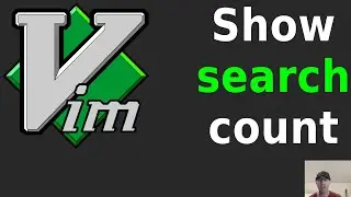 Display the Search Count in Vim's Status Bar