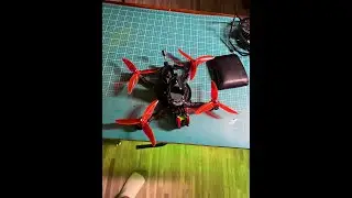 HGLRC Sector X5 Custome Build