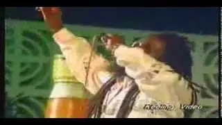Dennis Brown -   whip them jah (live)