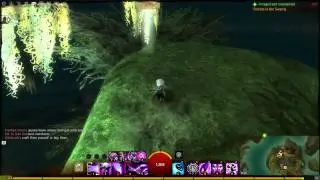 Guild Wars 2 - [Queensdale] Godslost Swamp Vista