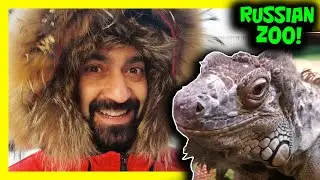 WILD ANIMALS IN RUSSIAN ZOO!!! Zoo Full Of Snow and Cool Animals | Russian Trip 2020