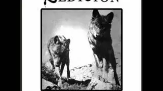 Sedici&oacute;n - Miedo a la Libertad