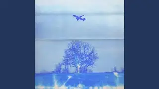 Where Will We Land?