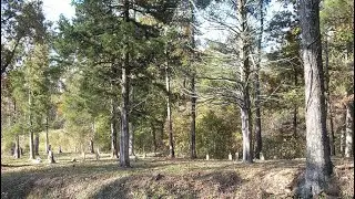 EVP Caught at Lick Creek