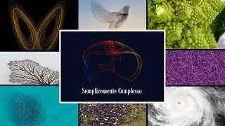 SEMPLICEMENTE COMPLESSO &ndash; Corso divulgativo della Scienza dei Sistemi Complessi &ndash; Trailer