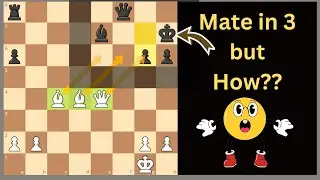 Brilliant Move and Checkmate in 3 moves! (Beautiful trick)