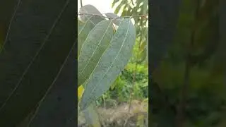 Naari Shakti Mahaan #Imotional # Youtube # Short # Song #Indian  Poetry