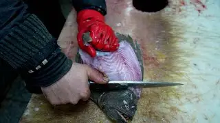 Flounder Remove Skin Like A Pro (VIDEO) | Best Fillet
